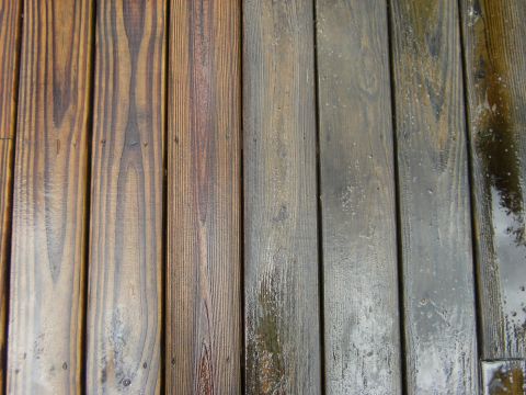 1992 Ford F-150 - A close-up view of a wooden deck shows distinct wood grain patterns and areas that appear wet.
