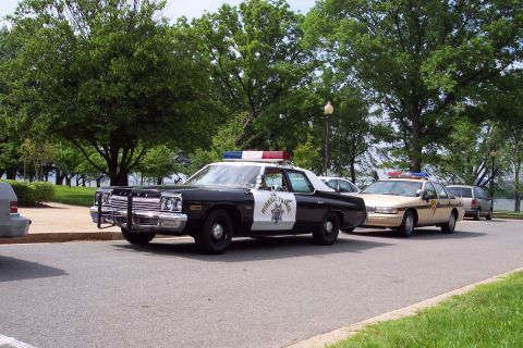 2001 Ford Crown Victoria - Two police cars are parked on a street with trees in the background.