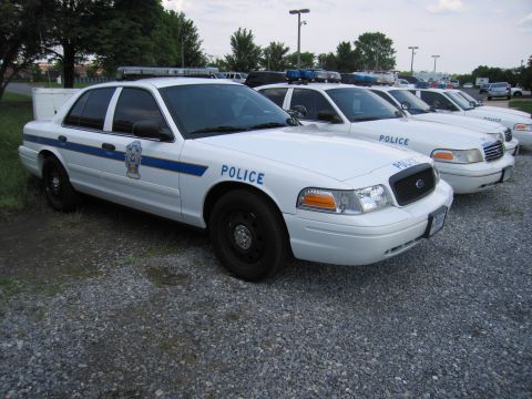 1991 Ford LTD Crown Victoria - row of white Ford Crown Victoria police sedans marked POLICE with light bars, parked on a gravel lot beside trees.