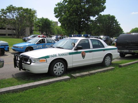 1991 Ford LTD Crown Victoria - white and green Park Ranger Crown Victoria with the NPS arrowhead emblem parks on grass, with a blue NYPD cruiser visible behind.