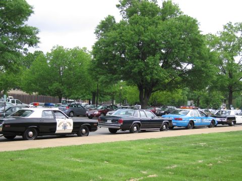 1991 Ford LTD Crown Victoria - Several vintage police cruisers parked in a row along a park drive beneath a large green tree.
