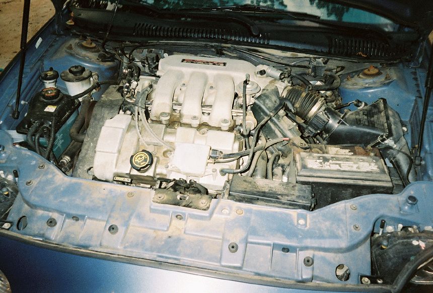 Engine bay with various components visible