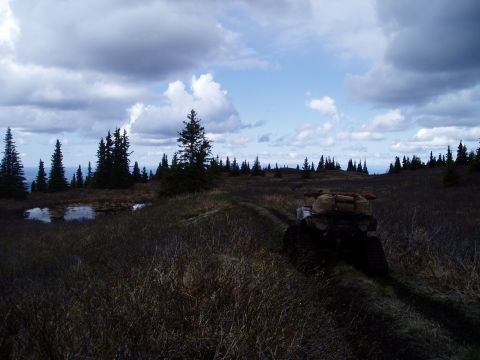 2000 Ford E350 - An all-terrain vehicle travels along a grassy trail with a load secured on its back.