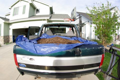 1995 Ford Bronco - Ford pickup truck bed filled with mulch, covered by a blue tarp, parked in a driveway.