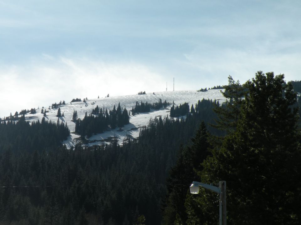 Ski slope with snow and trees, some ski lifts visible