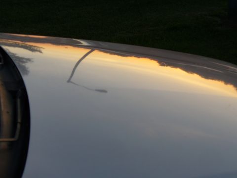 1995 Ford Thunderbird - Reflection of sunset and trees on a silver car hood. The registry claims this is a 1995 Ford Thunderbird, but the image does not provide en…