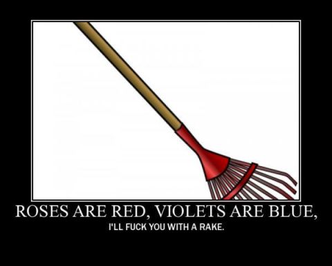 2006 Ford E350 - A humorous meme a rake and a vulgar poem.