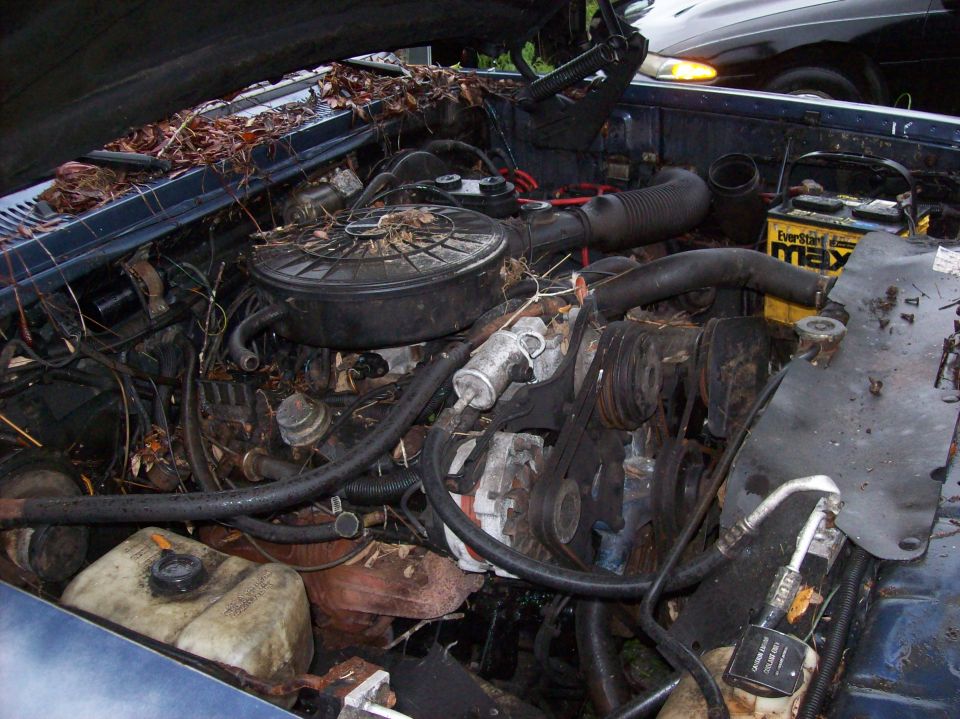 Engine bay of a blue 1988 Dodge Power Ram, covered in leaves and debris, with a Maxell battery visible