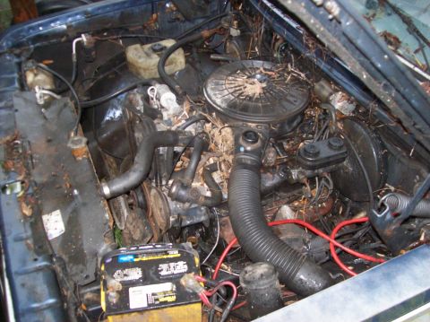 1988 Dodge Power Ram - Engine bay of a vehicle is covered in debris and leaves, obscuring most details.