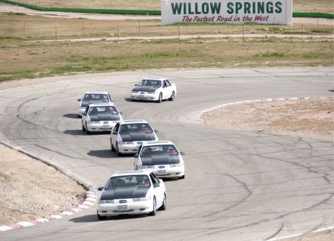 1993 Ford Taurus - Multiple white Ford Taurus sedans with black hoods race on a track near Willow Springs.