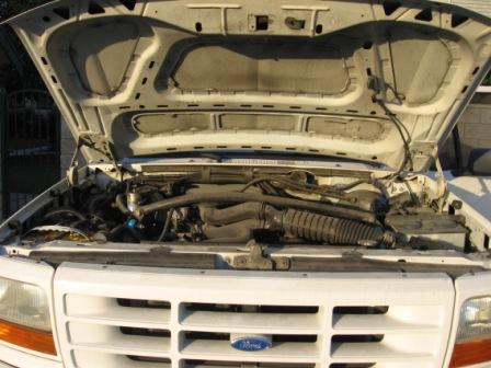 1984 Ford Bronco - Front view of a white Ford truck's engine bay, hood raised. The Ford logo is visible on the grille.