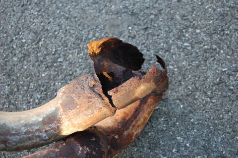 1994 Ford Bronco - This severely rusted and broken exhaust pipe is a clear indication of significant wear and tear.