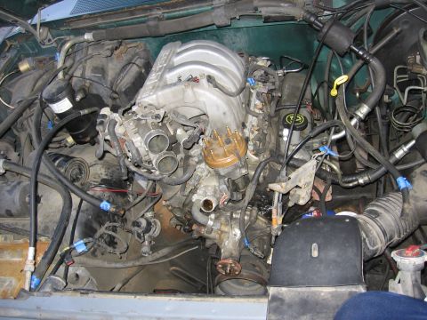 1990 Ford Bronco - Close-up view of a V8 engine, showing the intake manifold, distributor, and associated plumbing.