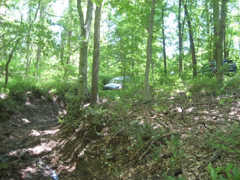 1991 Ford Bronco - Two SUVs are partially visible amongst the trees and foliage in a wooded area.