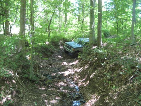 1991 Ford Bronco - A 1991 Ford Bronco navigates a challenging off-road path in a forest.