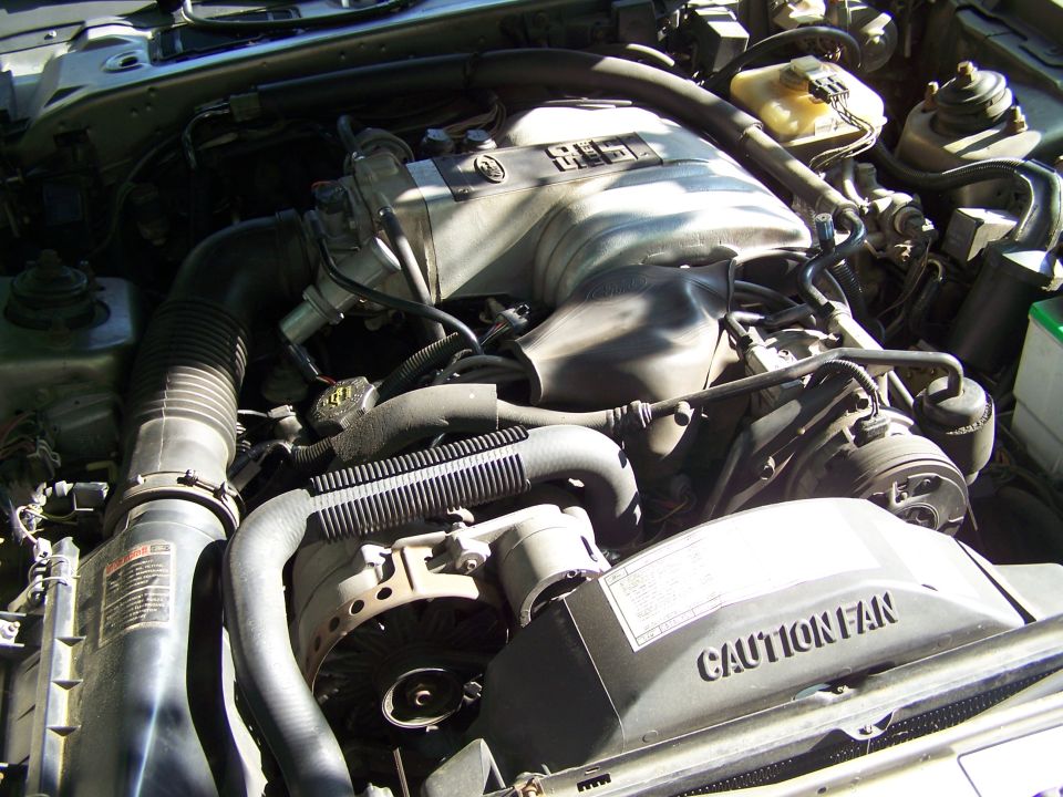 Ford V8 engine bay with aluminum intake manifold and CAUTION FAN shroud over the clutch fan
