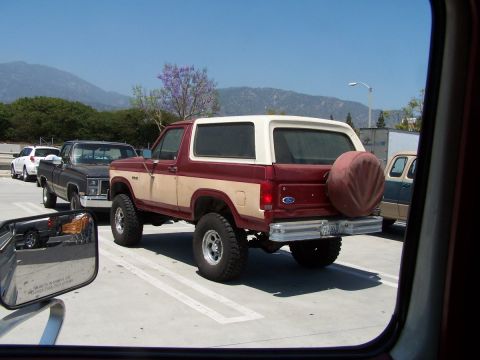 1990 Ford Bronco - This 1987 Ford Bronco is parked in a lot with other vehicles visible.