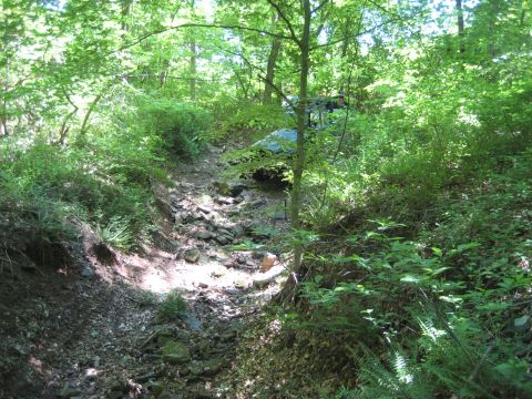 1991 Ford Bronco - A vehicle is obscured by dense foliage in a wooded area with a rocky, dry creek bed.
