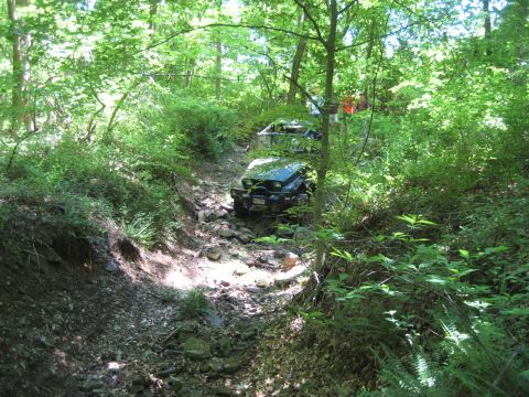 1991 Ford Bronco - A Jeep Wrangler navigates a challenging off-road path through a dense forest.