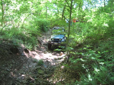 1991 Ford Bronco - A blue Jeep Wrangler navigates a challenging, rocky path through a dense forest.