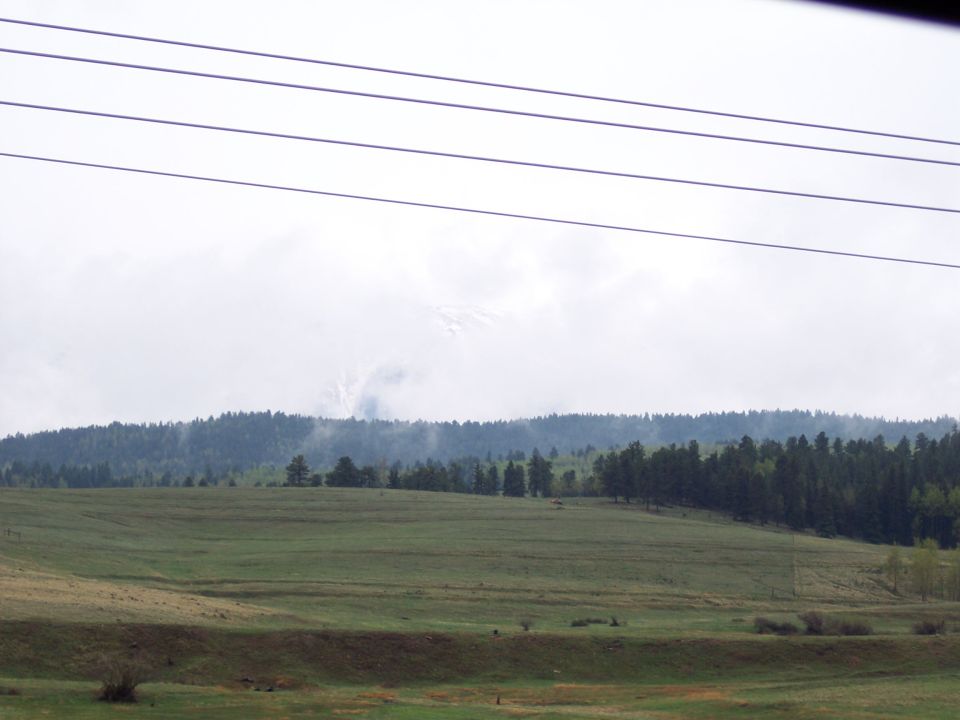 Overcast sky above rolling green hills and a dense forest