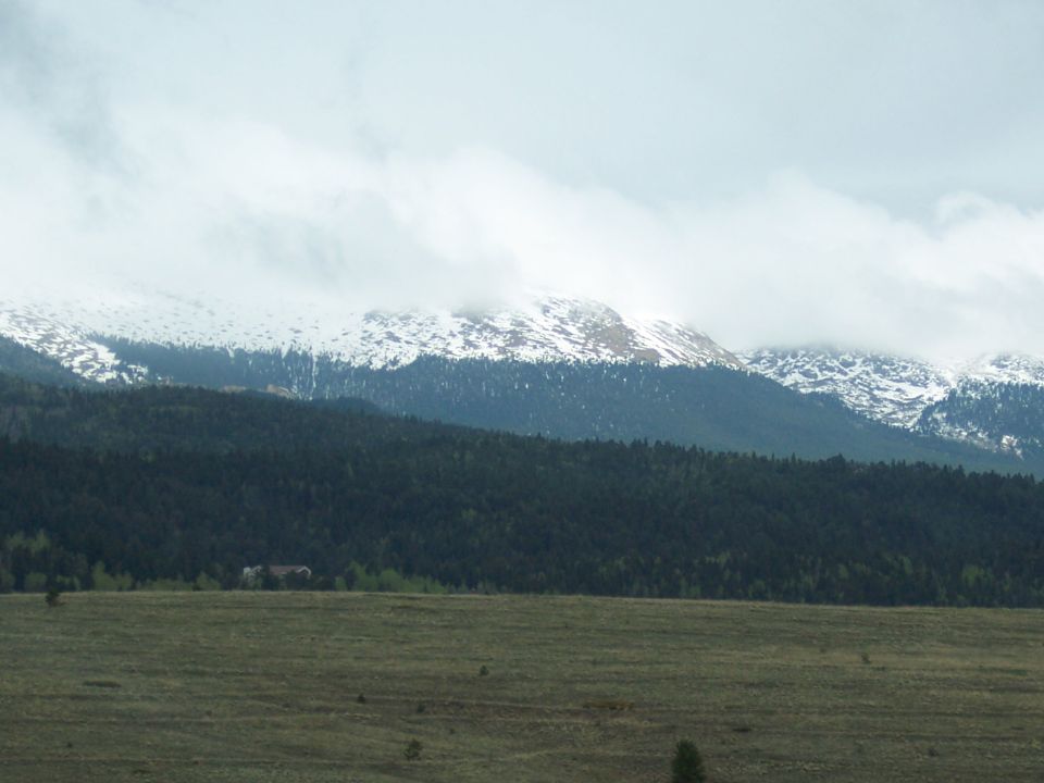Mountain range with snow-capped peaks and dark green pine forests under a cloudy sky