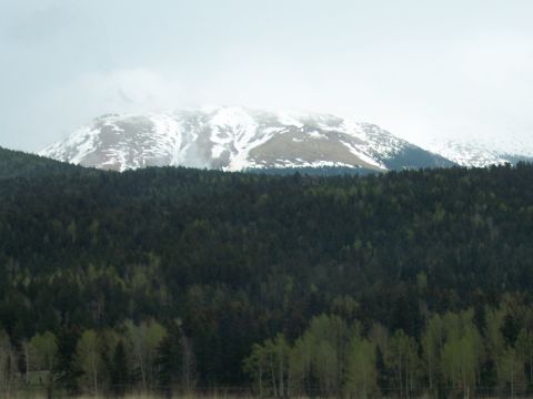 1972 Ford Ranchero - A vast expanse of dark green forest stretches across the landscape, leading to a mountain range capped with snow under a hazy sky.