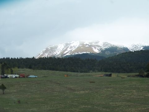 1972 Ford Ranchero - A collection of vehicles sits in a field below a mountain range with snow on its peaks.