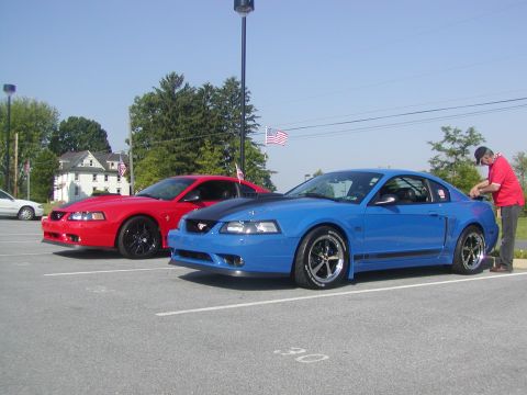 2004 Ford Mustang - Two Ford Mustangs, one blue and one red, are parked in a lot on a sunny day.