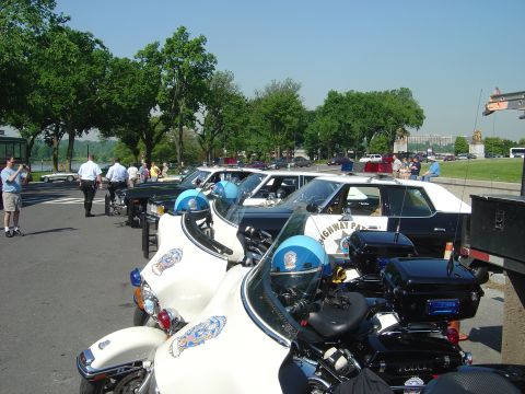 2001 Ford Crown Victoria - Several police motorcycles and cars are lined up on a street, with trees and buildings in the background.
