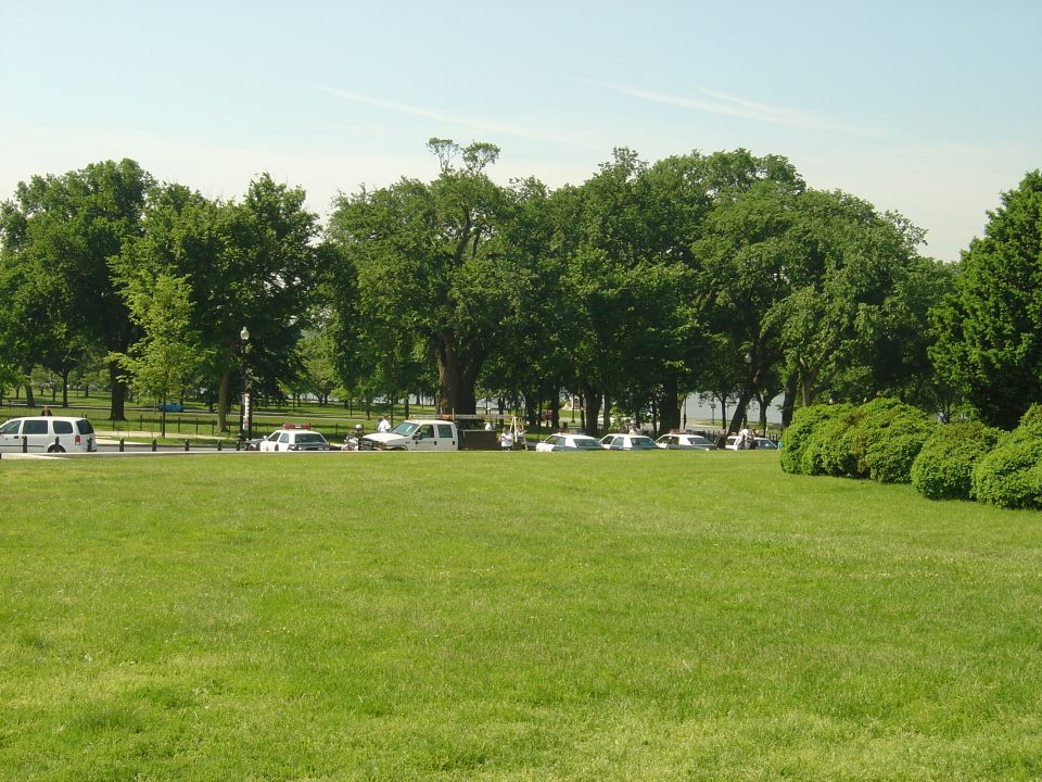 Police car and other vehicles parked on a street with trees and grass