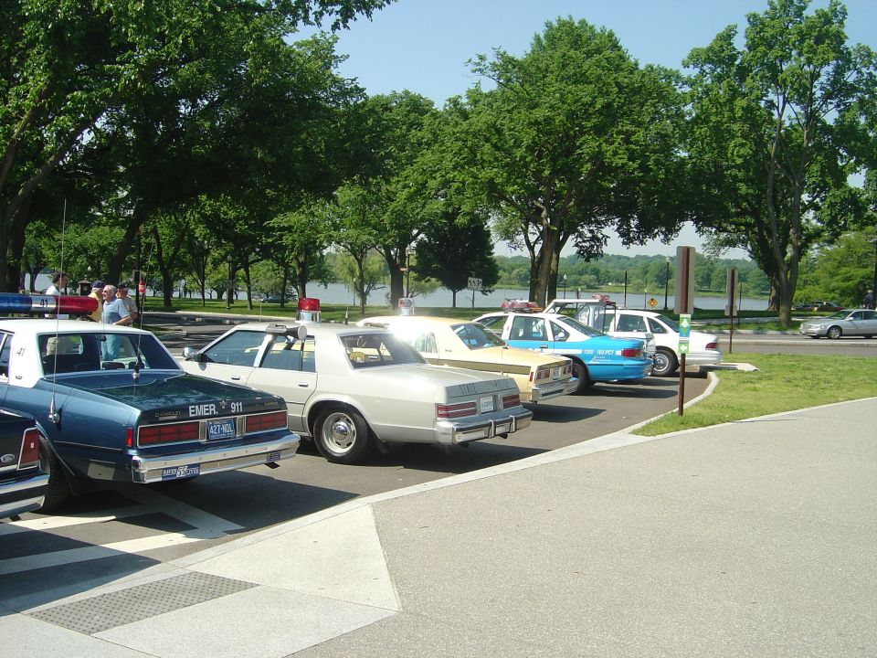 Several police cars parked in a row, including a blue and white car with "EMER 911" on the trunk and a silver car with a distinctive grille and taillights