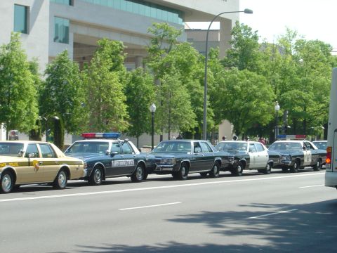 2001 Ford Crown Victoria - Several police vehicles are lined up on a street in front of a large building.