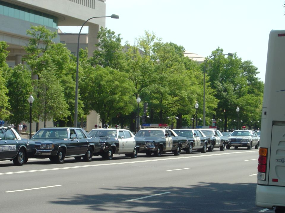 Line of police cars, including a 1990 Ford Crown Victoria, parked on a street