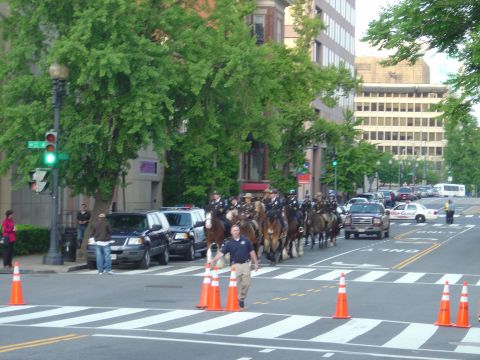 2001 Ford Crown Victoria - A line of mounted police officers on horseback proceeds down a city street, with police vehicles and traffic cones visible.