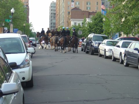 2001 Ford Crown Victoria - Mounted police officers on horseback proceed down a street with parked vehicles on the right.