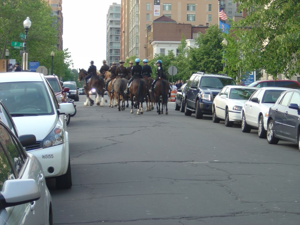 Mounted police officers on horseback ride down a city street lined with parked cars