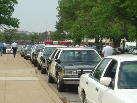 2001 Ford Crown Victoria - Several police cars are parked in a line along a sidewalk, with trees and buildings in the background.