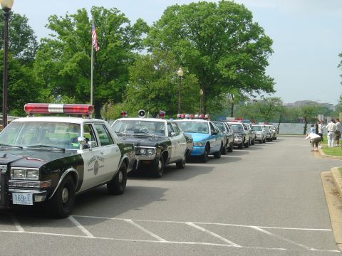 2001 Ford Crown Victoria - Multiple police vehicles are lined up, suggesting a parade or event.