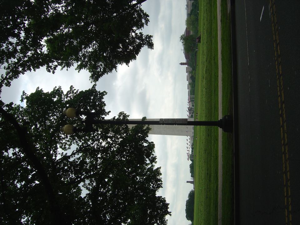Washington Monument in a grassy field with trees and a lamppost