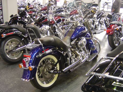 2001 Ford Crown Victoria - Multiple motorcycles are parked in a showroom, with a blue model prominently displayed.