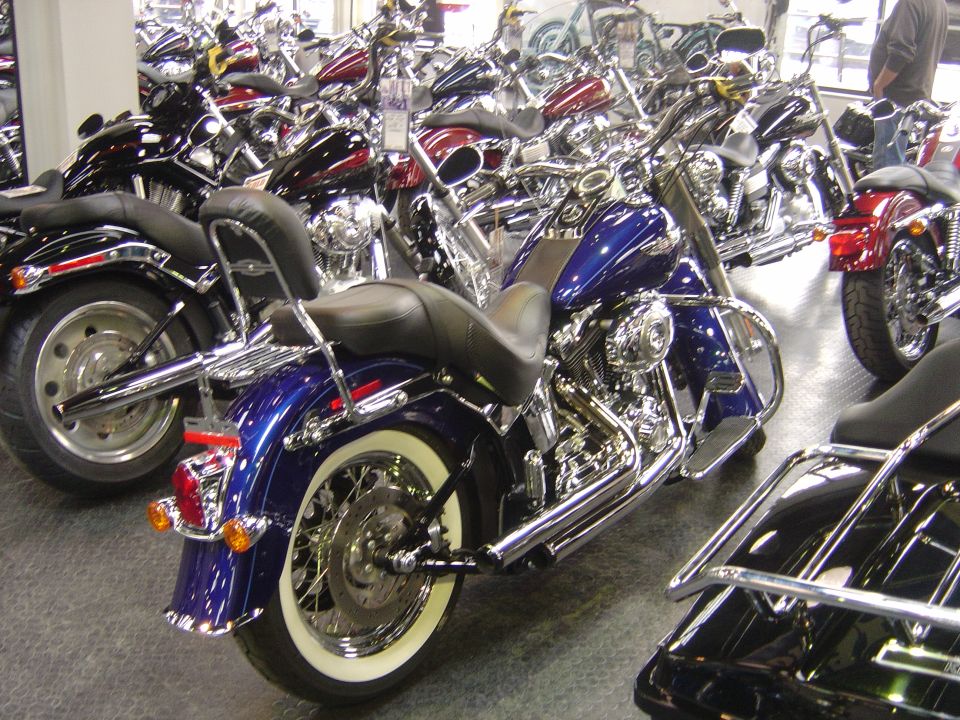 Row of motorcycles, including a blue Harley-Davidson in the foreground, inside a dealership