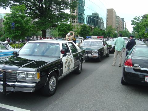 2001 Ford Crown Victoria - A line of police cars, including a black and white Ford Crown Victoria, are parked on a city street.
