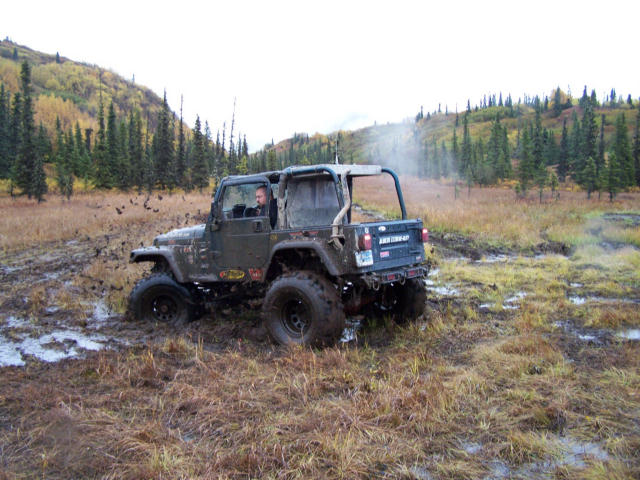 Olive green Jeep Wrangler with roll cage stuck in deep mud and tall grass, driver visible inside