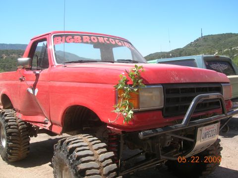 1985 Ford Bronco - A red lifted truck with a plant growing on the front fender is parked outdoors next to another vehicle.