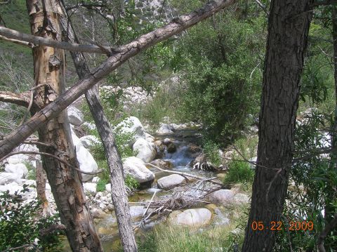1985 Ford Bronco - A natural scene of a stream flowing through rocks and trees, with a visible date stamp of May 22, 2009.