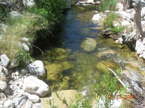1985 Ford Bronco - A clear stream flows over rocks in a natural setting, with vegetation on the banks. The photo was taken on 05-22-2009.