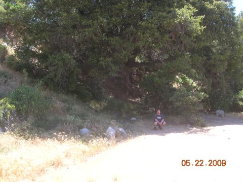 1985 Ford Bronco - A person squats in the shade of a large tree, with a date stamp indicating the photo was taken on May 22, 2009.