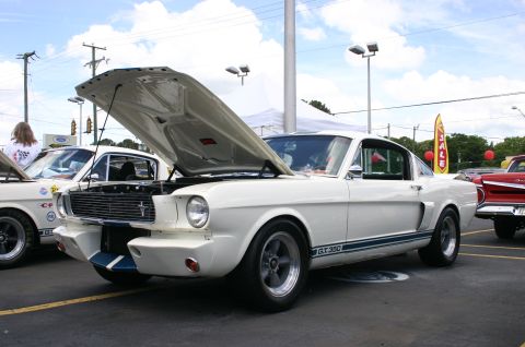 1968 Shelby GT500 - A white 1965 Shelby GT350 is displayed with its hood up, parked next to another vehicle.