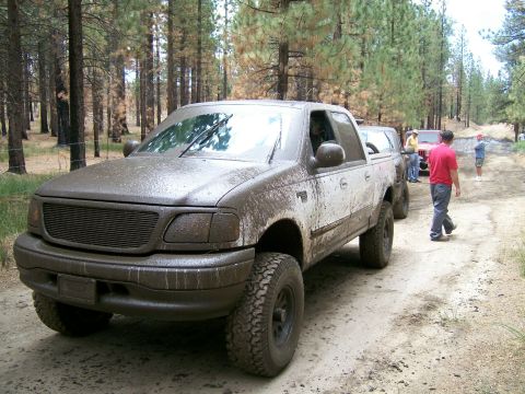 1995 Ford Bronco - BigBear F150